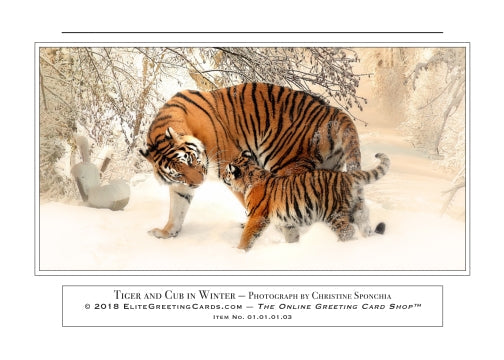 01.01.01.03—Tiger and Cub in Winter