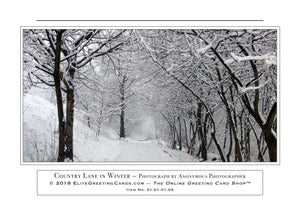 01.01.01.09—Country Lane in Winter