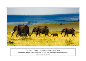 01.01.01.44—Elephant Family