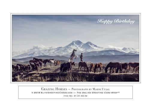 01.01.04.02—Grazing Horses