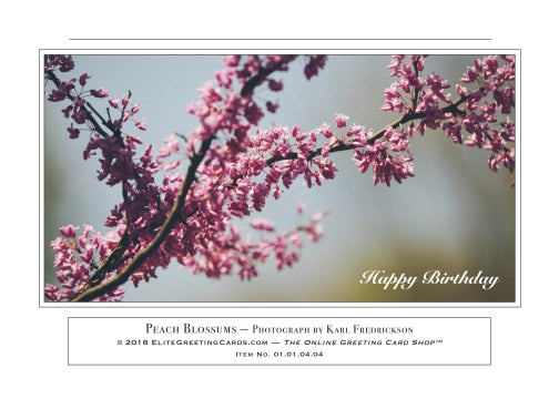 01.01.04.04—Peach Blossums