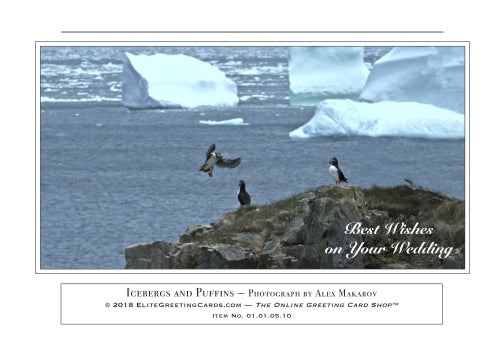 01.01.05.10—Icebergs and Puffins