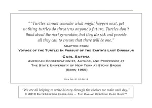 01.01.06.18—In Honor of Turtles