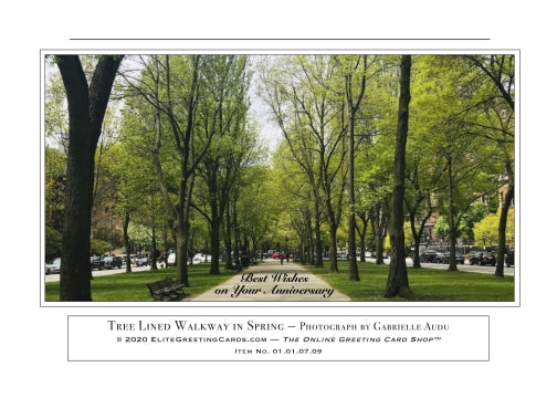 01.01.07.09—Tree Lined Walkway in Spring