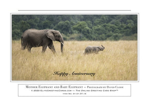 01.01.07.15—Mother Elephant and Baby Elephant