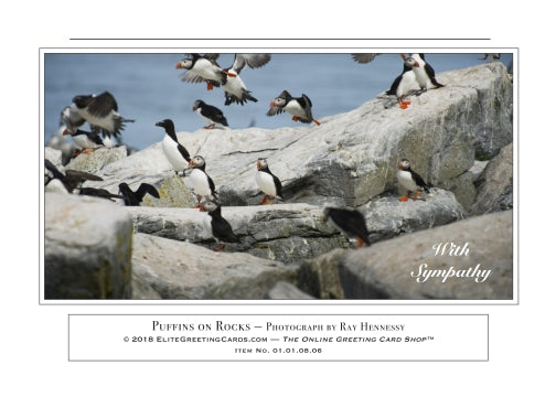 01.01.08.06—Puffins on Rocks