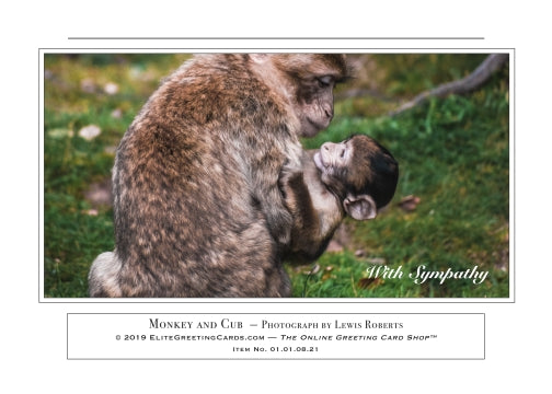 01.01.08.21—Monkey and Cub